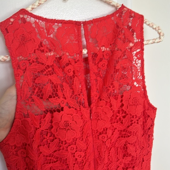 J. Crew | Levers Lace Dress - Picture 4 of 5